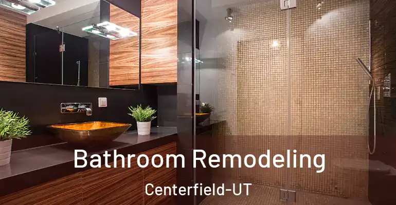 inner Bathroom imggen Bathroom Remodeling Centerfield-UT
