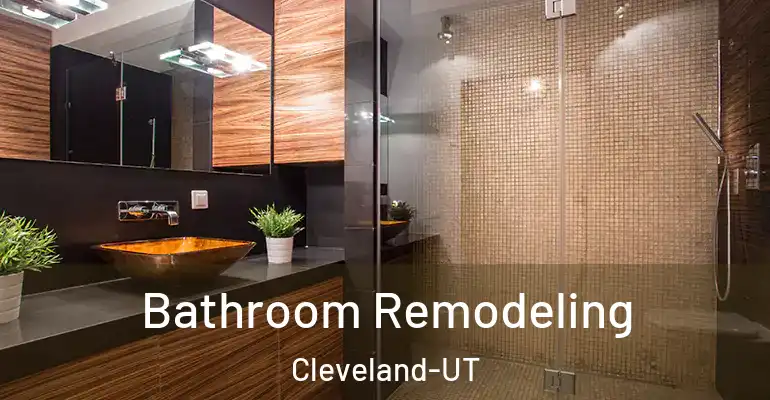 inner Bathroom imggen Bathroom Remodeling Cleveland-UT