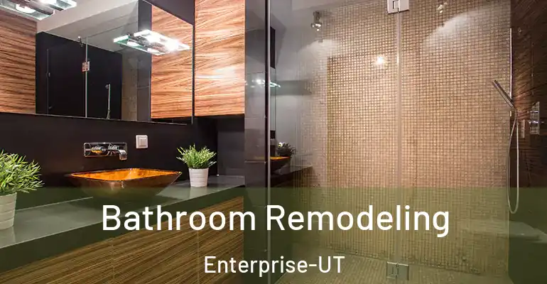 inner Bathroom imggen Bathroom Remodeling Enterprise-UT