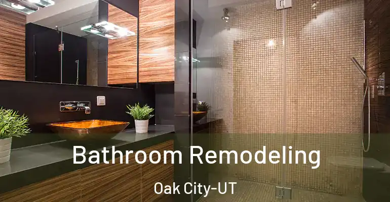 inner Bathroom imggen Bathroom Remodeling Oak City-UT