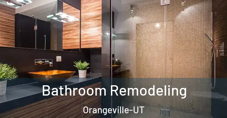 inner Bathroom imggen Bathroom Remodeling Orangeville-UT