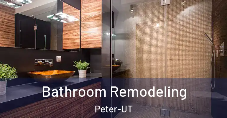 inner Bathroom imggen Bathroom Remodeling Peter-UT