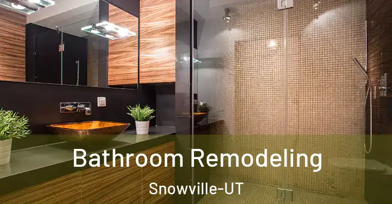 inner Bathroom imggen Bathroom Remodeling Snowville-UT