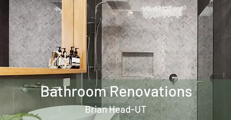 inner Bathroom imggen Bathroom Renovations Brian Head-UT