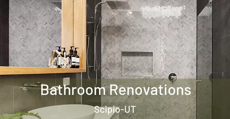 inner Bathroom imggen Bathroom Renovations Scipio-UT