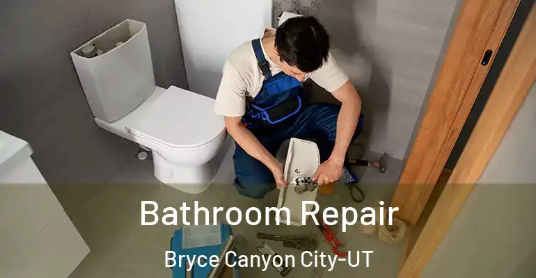 inner Bathroom imggen Bathroom Repair Bryce Canyon City-UT