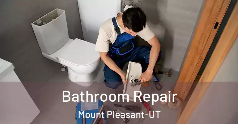 inner Bathroom imggen Bathroom Repair Mount Pleasant-UT