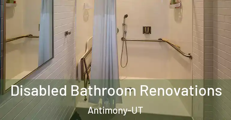 inner Bathroom imggen Disabled Bathroom Renovations Antimony-UT