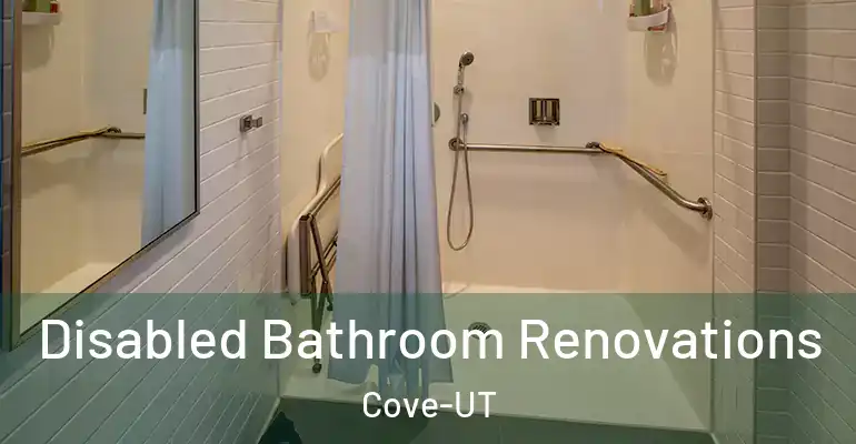 inner Bathroom imggen Disabled Bathroom Renovations Cove-UT