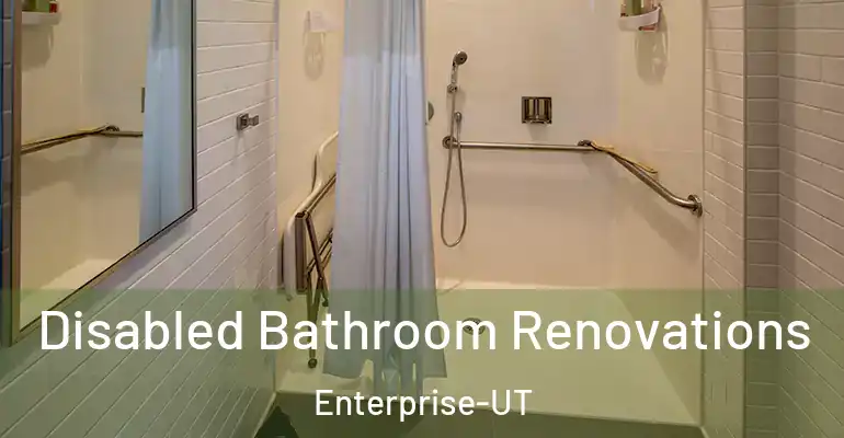 inner Bathroom imggen Disabled Bathroom Renovations Enterprise-UT
