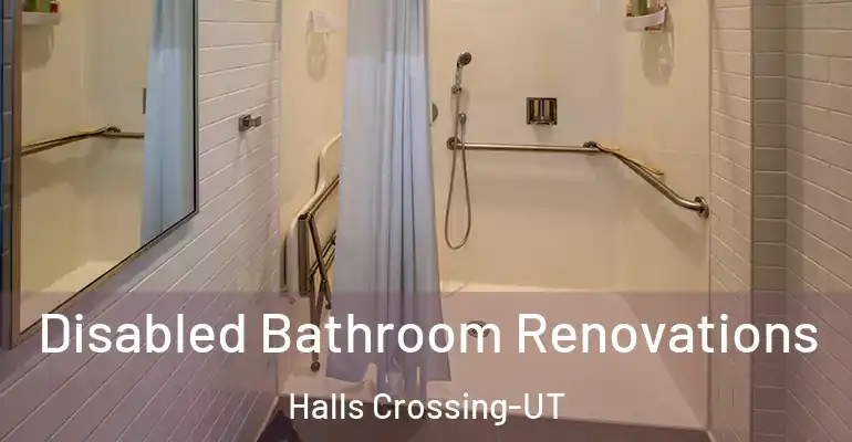 inner Bathroom imggen Disabled Bathroom Renovations Halls Crossing-UT