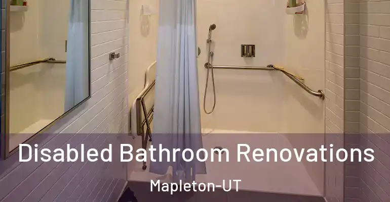 inner Bathroom imggen Disabled Bathroom Renovations Mapleton-UT