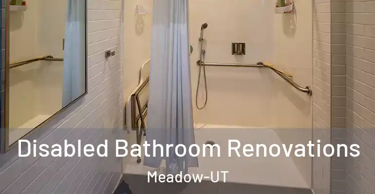 inner Bathroom imggen Disabled Bathroom Renovations Meadow-UT