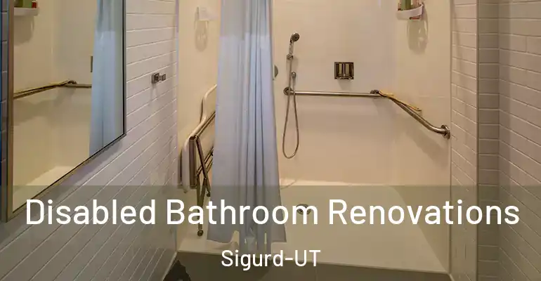 inner Bathroom imggen Disabled Bathroom Renovations Sigurd-UT