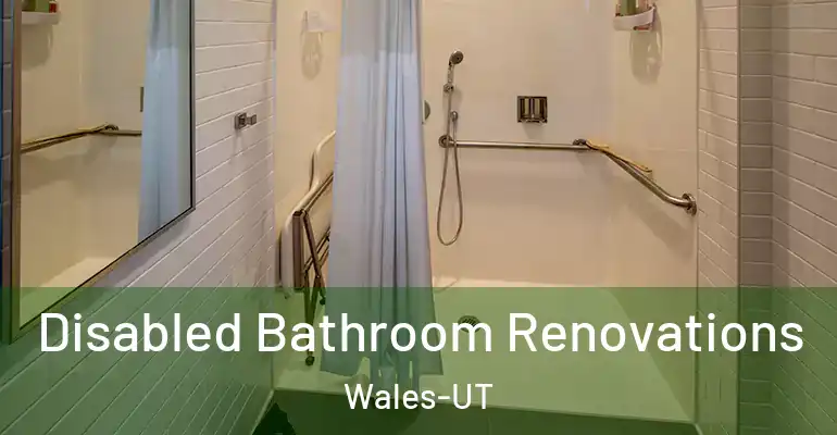 inner Bathroom imggen Disabled Bathroom Renovations Wales-UT