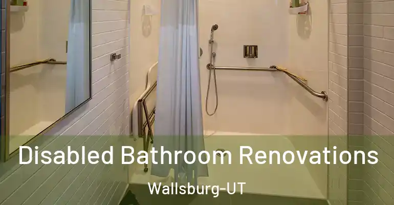 inner Bathroom imggen Disabled Bathroom Renovations Wallsburg-UT