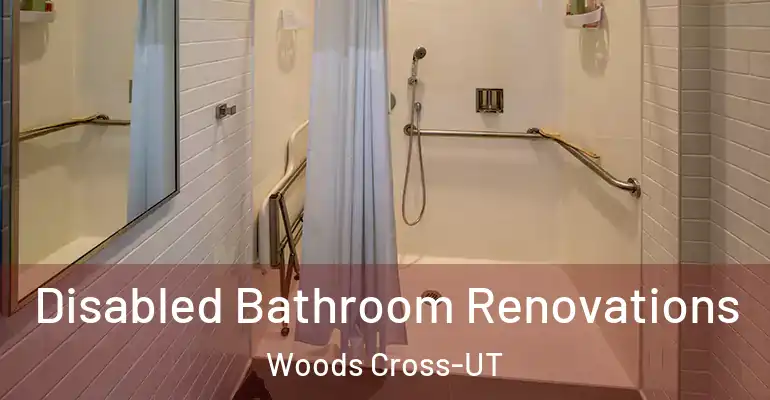 inner Bathroom imggen Disabled Bathroom Renovations Woods Cross-UT