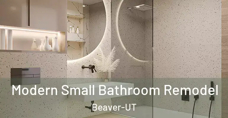 inner Bathroom imggen Modern Small Bathroom Remodel Beaver-UT