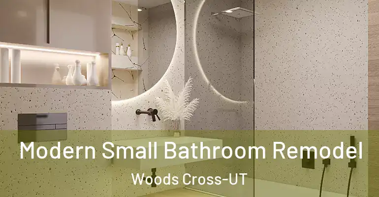 inner Bathroom imggen Modern Small Bathroom Remodel Woods Cross-UT