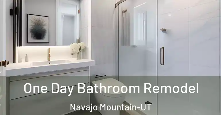 inner Bathroom imggen One Day Bathroom Remodel Navajo Mountain-UT