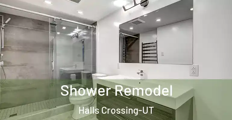 inner Bathroom imggen Shower Remodel Halls Crossing-UT