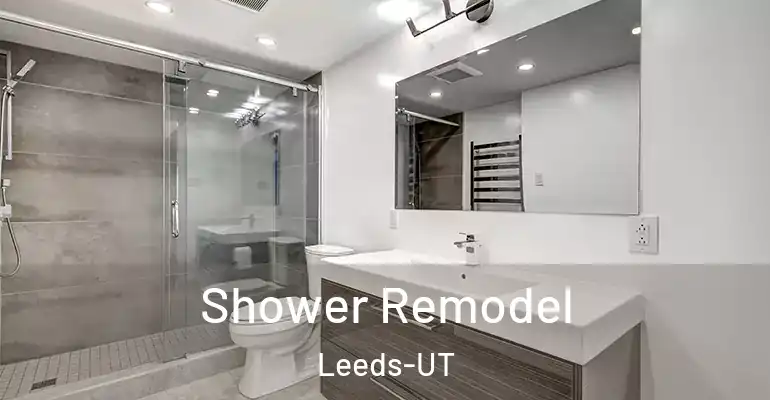 inner Bathroom imggen Shower Remodel Leeds-UT