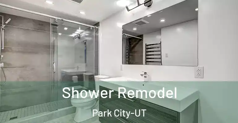 inner Bathroom imggen Shower Remodel Park City-UT