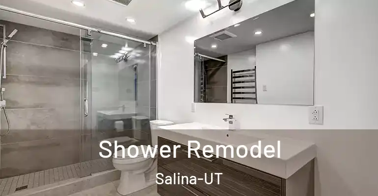 inner Bathroom imggen Shower Remodel Salina-UT