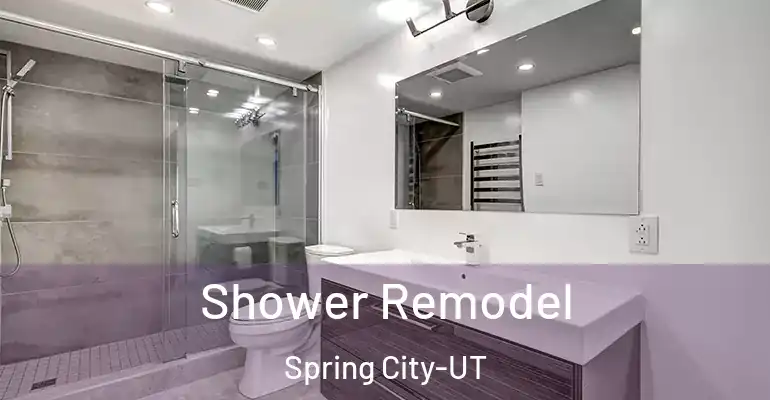 inner Bathroom imggen Shower Remodel Spring City-UT