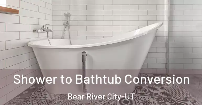 inner Bathroom imggen Shower to Bathtub Conversion Bear River City-UT