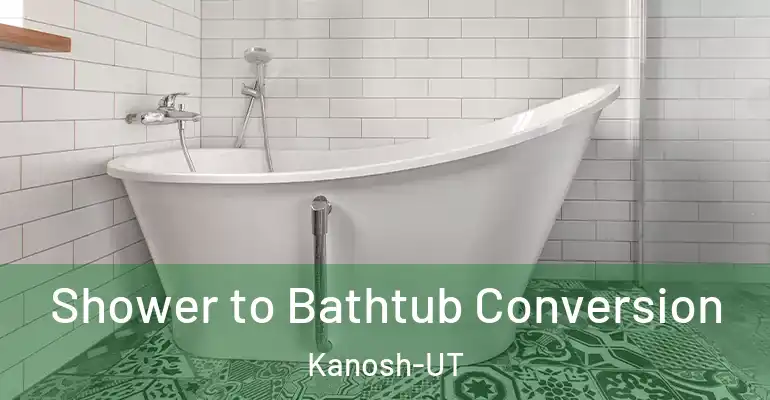 inner Bathroom imggen Shower to Bathtub Conversion Kanosh-UT