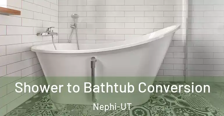 inner Bathroom imggen Shower to Bathtub Conversion Nephi-UT