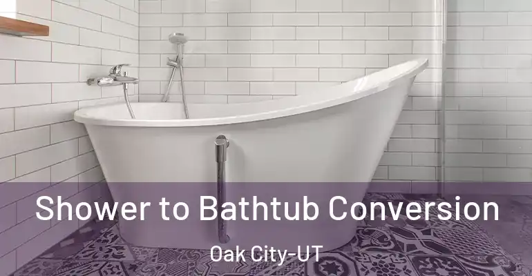 inner Bathroom imggen Shower to Bathtub Conversion Oak City-UT