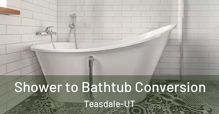 inner Bathroom imggen Shower to Bathtub Conversion Teasdale-UT