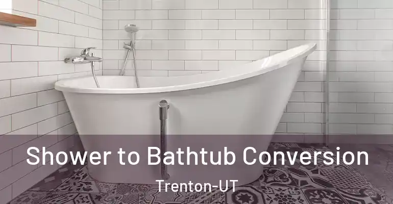 inner Bathroom imggen Shower to Bathtub Conversion Trenton-UT