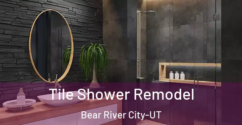 inner Bathroom imggen Tile Shower Remodel Bear River City-UT