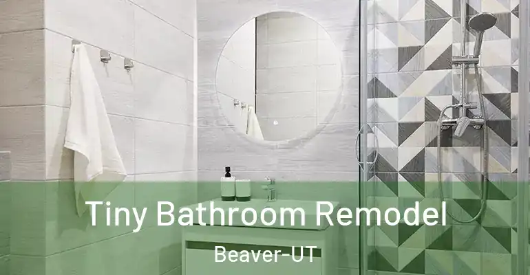 inner Bathroom imggen Tiny Bathroom Remodel Beaver-UT