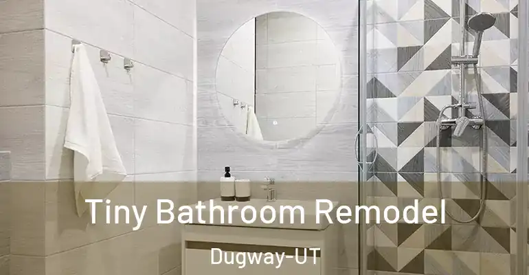 inner Bathroom imggen Tiny Bathroom Remodel Dugway-UT
