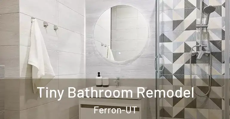 inner Bathroom imggen Tiny Bathroom Remodel Ferron-UT