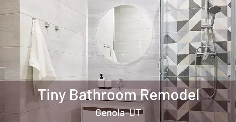 inner Bathroom imggen Tiny Bathroom Remodel Genola-UT