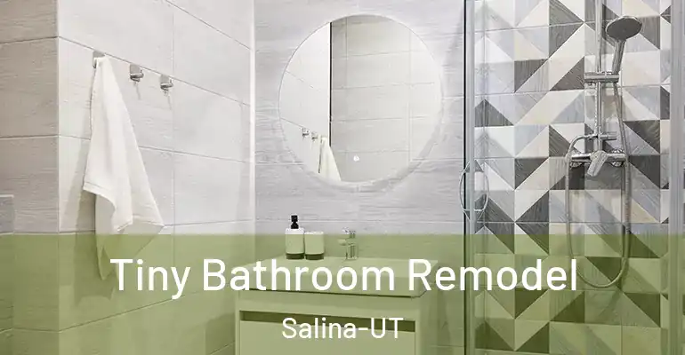 inner Bathroom imggen Tiny Bathroom Remodel Salina-UT