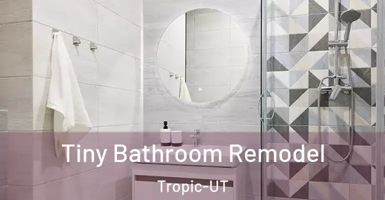 inner Bathroom imggen Tiny Bathroom Remodel Tropic-UT