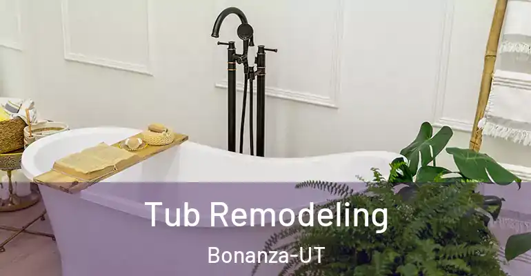 inner Bathroom imggen Tub Remodeling Bonanza-UT