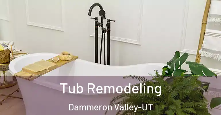 inner Bathroom imggen Tub Remodeling Dammeron Valley-UT