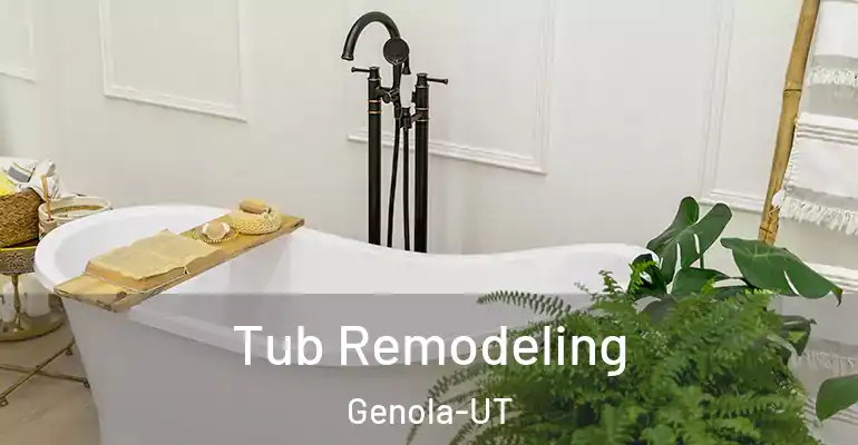inner Bathroom imggen Tub Remodeling Genola-UT