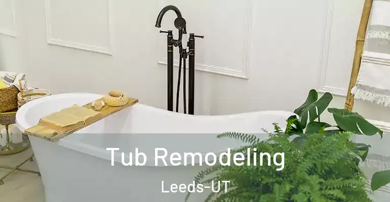 inner Bathroom imggen Tub Remodeling Leeds-UT