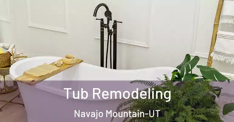 inner Bathroom imggen Tub Remodeling Navajo Mountain-UT