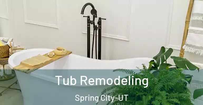 inner Bathroom imggen Tub Remodeling Spring City-UT