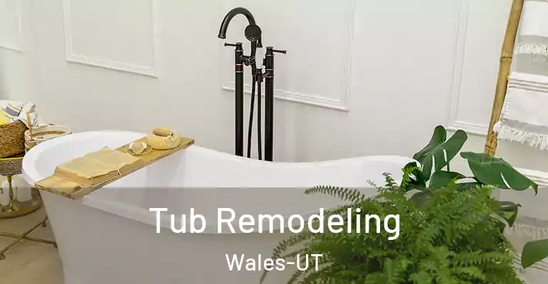 inner Bathroom imggen Tub Remodeling Wales-UT