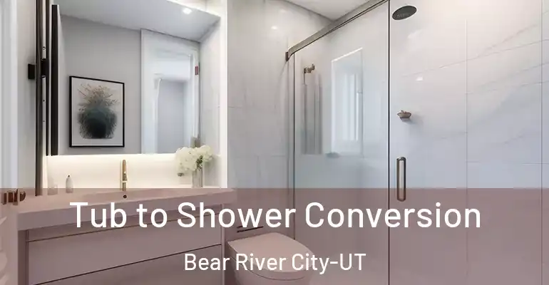inner Bathroom imggen Tub to Shower Conversion Bear River City-UT